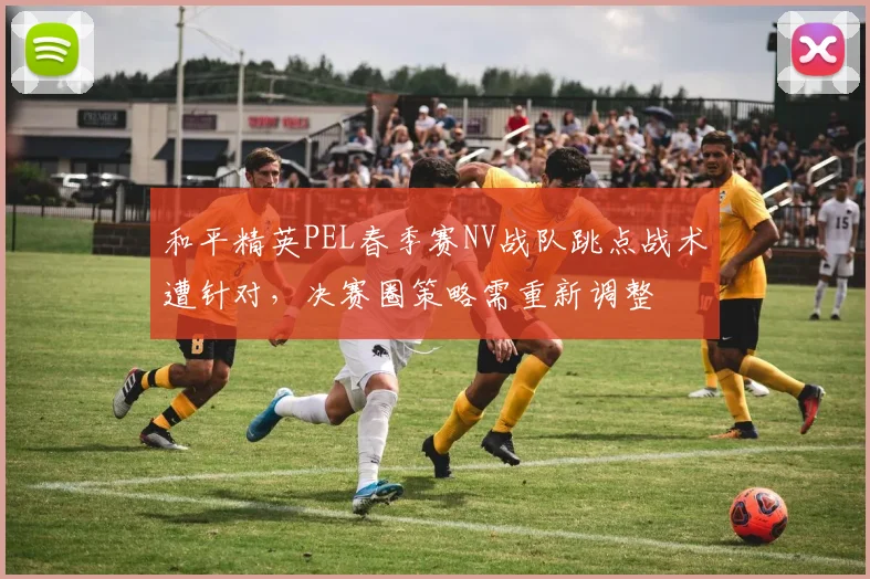 和平精英PEL春季赛NV战队跳点战术遭针对,决赛圈策略需重新调整